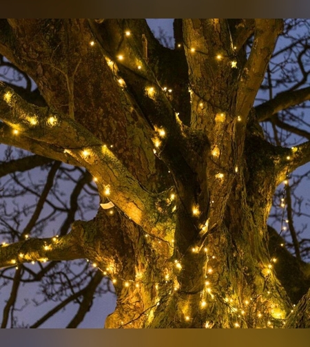 Instalatie Craciun liniara, cu transformator 31V, 10m, alb cald, 100 LED-uri V5, 8 jocuri de lumini, Fir verde, Flippy