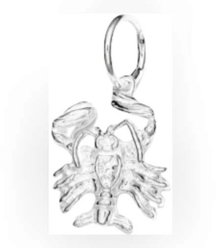 Pandantiv din Argint 925 Rac