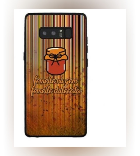 Husa Samsung J3 2017 Multicolor Mesaj Gem