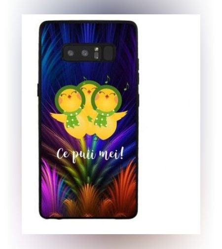 Husa Samsung A3 2017 Multicolor Mesaj Pui