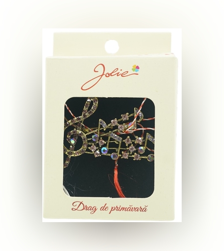 Brosa Multicolora Note Muzicale