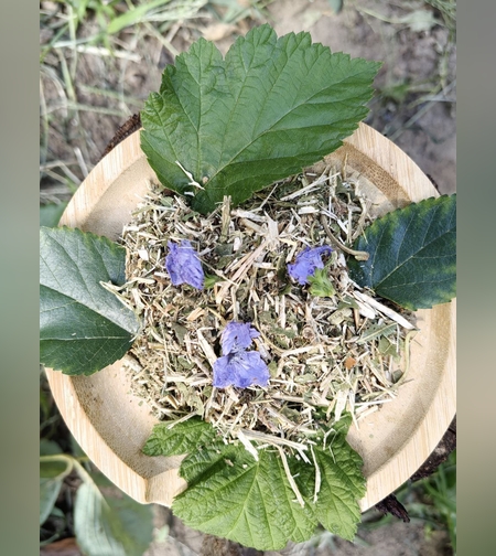 Сбор противодиабетический № 2