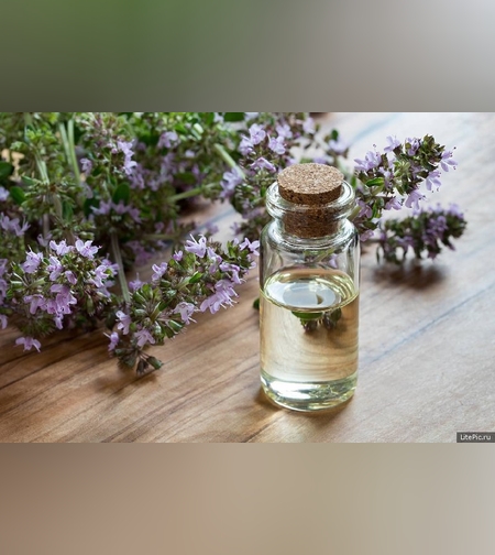 Эликсир чабреца