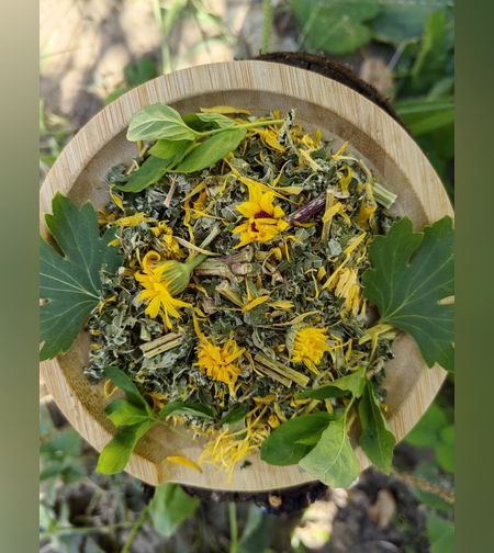 Сбор противоязвенный № 2