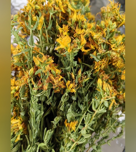 Эликсир травы зверобоя