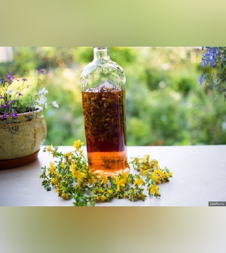 Эликсир травы зверобоя