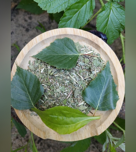 Сбор желудочный № 1