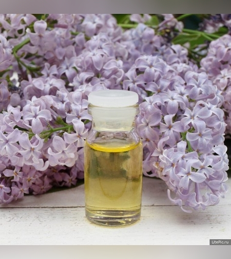 Эликсир цветков сирени