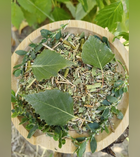 Сбор солевыводящий урато - оксалатный    № 1