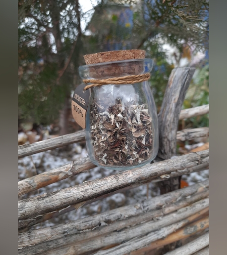 Исландский мох, слоевища