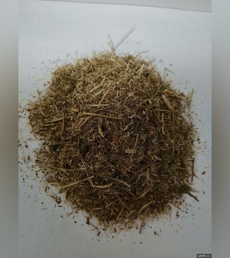 Сбор противозапойный №1