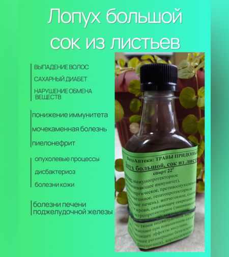 Сок из листьев лопуха большого