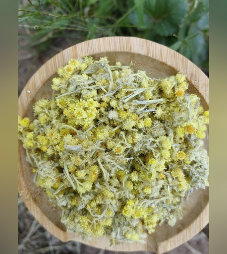 Бессмертник песчаный, цветки