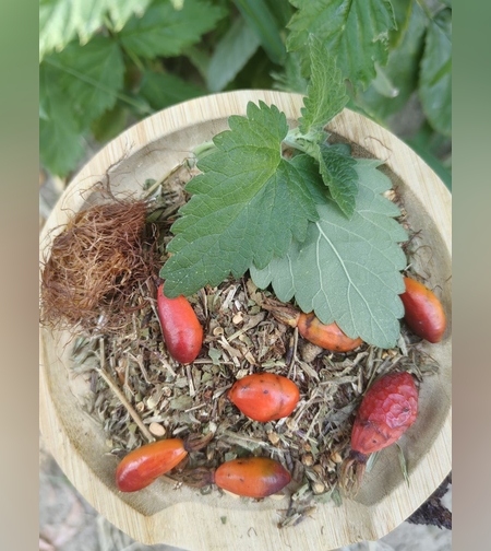 Сбор витаминный семейный  № 1