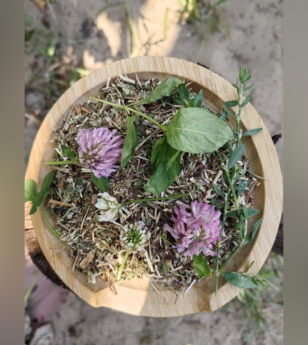 Сбор почечный противовоспалительный