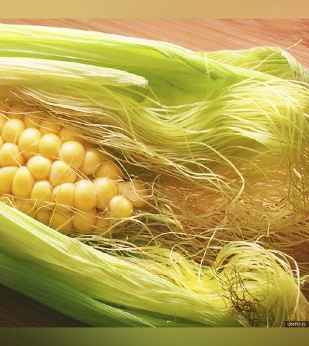 Кукурузные рыльца