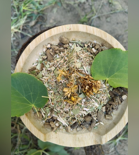 Сбор противодиабетический № 1