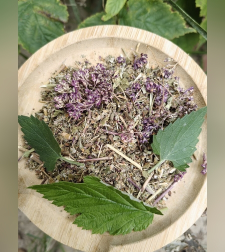 Сбор противопростудный  № 1 гб