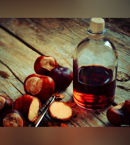 Эликсир плодов каштана конского