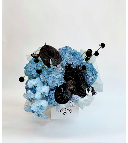 Black Sapphire