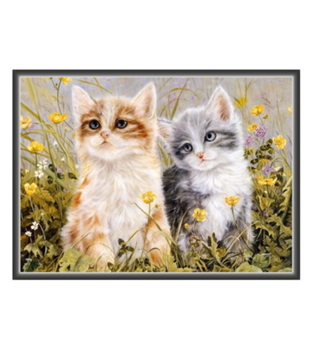 Две котета сред цветя