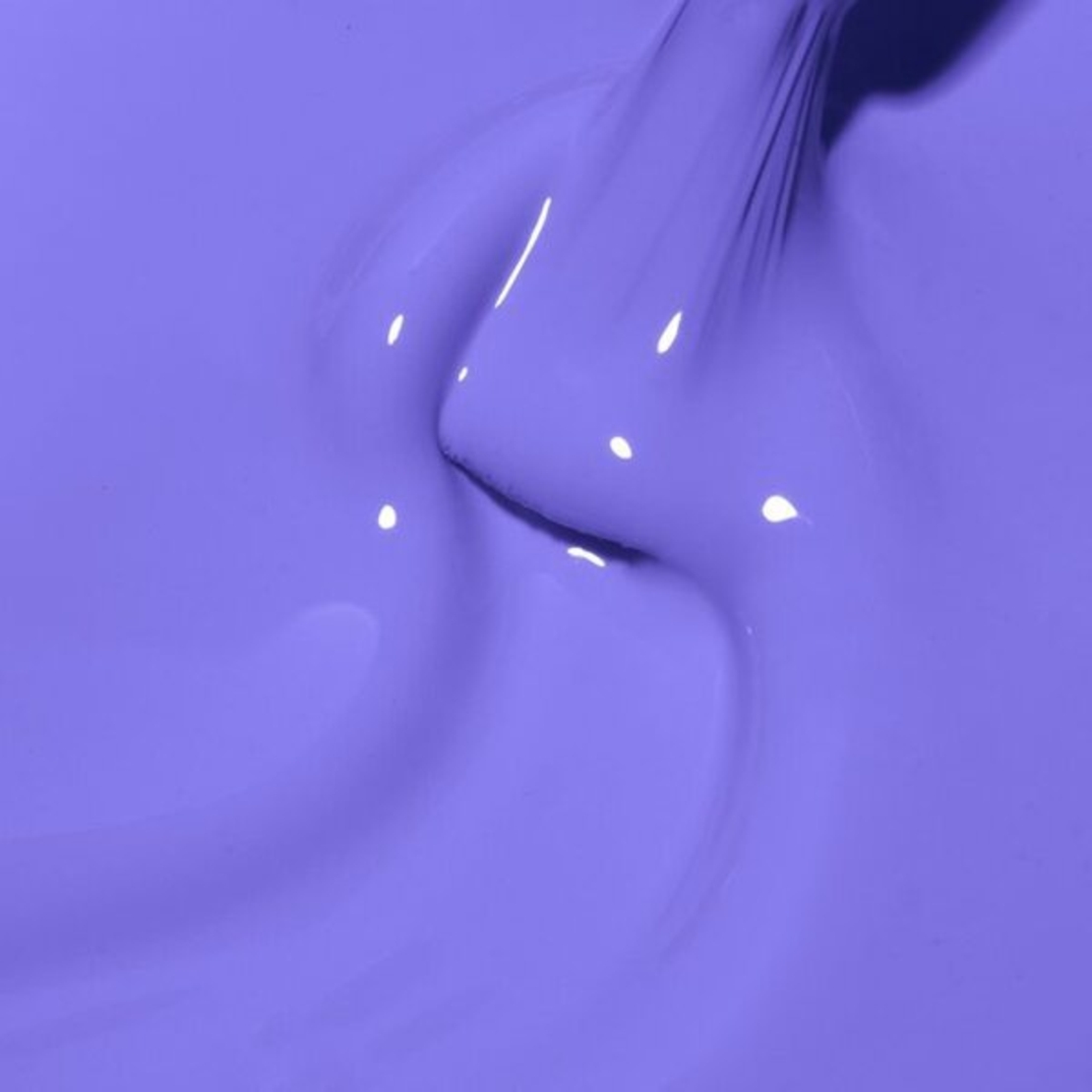 Bloom Collection - Midnight Irisdasdasdada