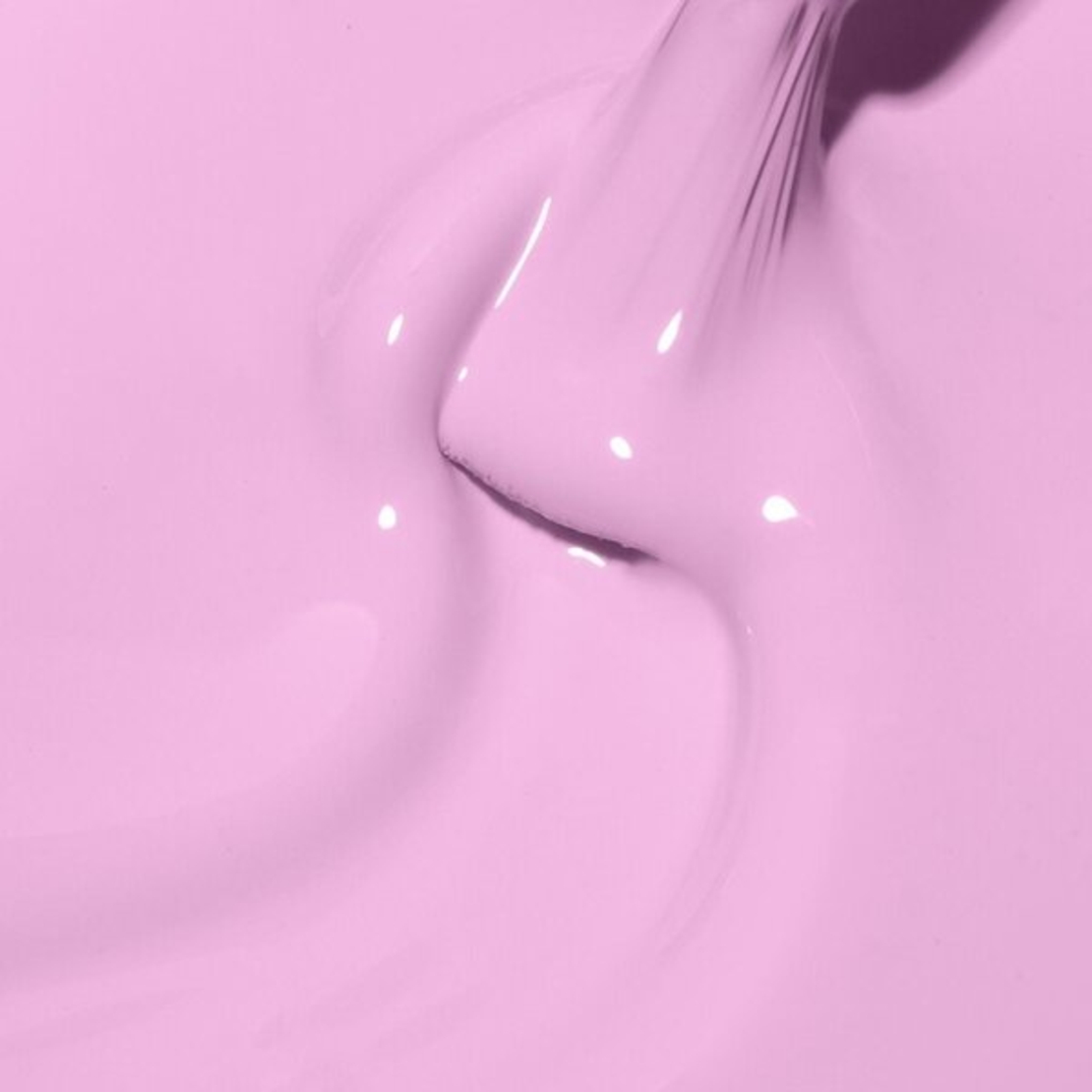 Bloom Collection - Cherry Blossomasdasdasdaadadadasdasda