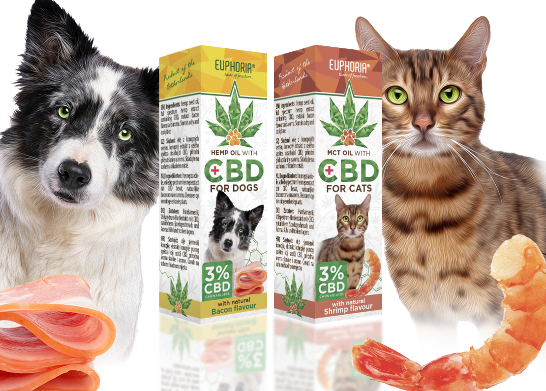 Euphoria 3% CBD и MCT масло за котки, капки 10мл