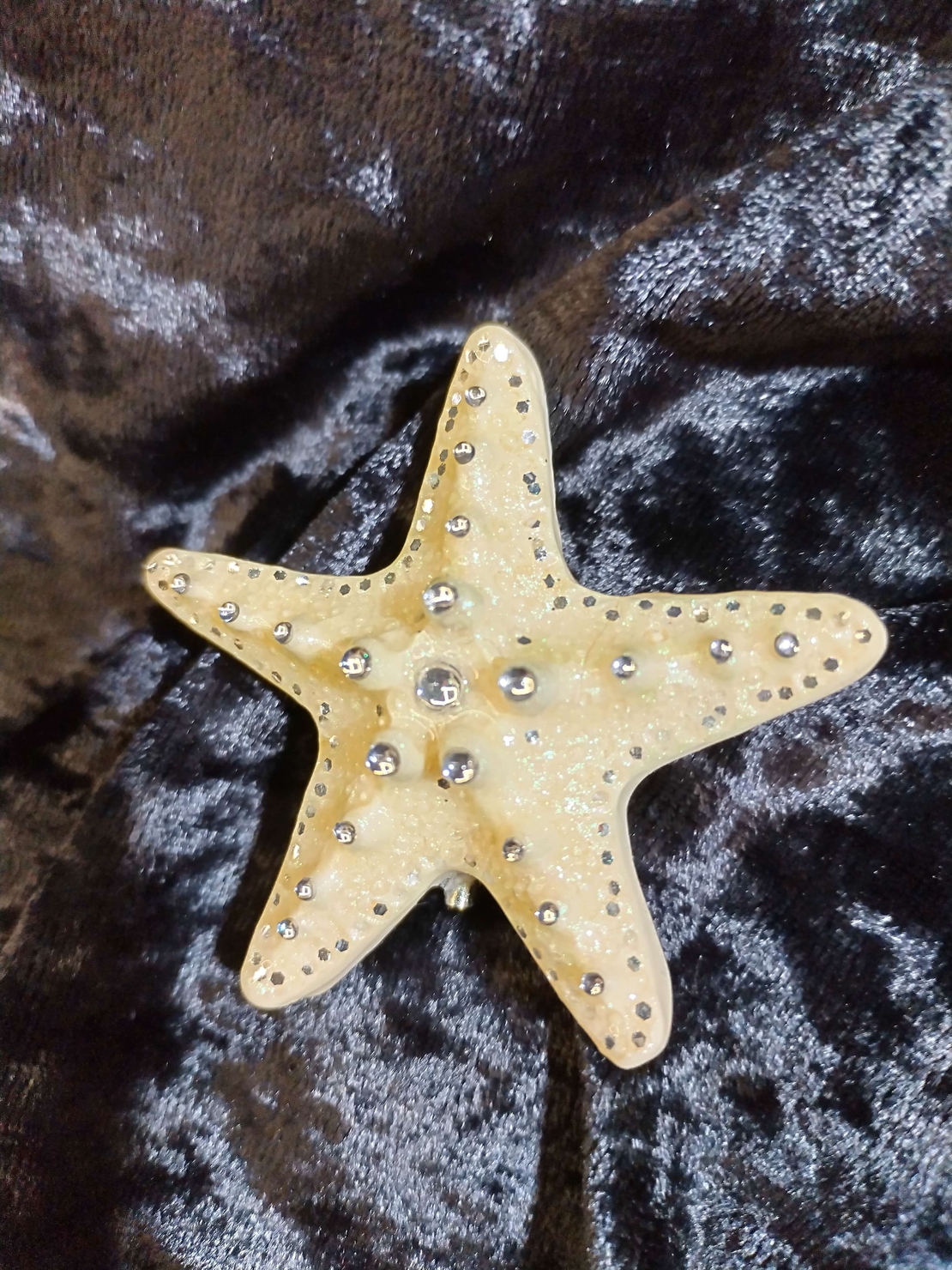 Бяла морска звезда