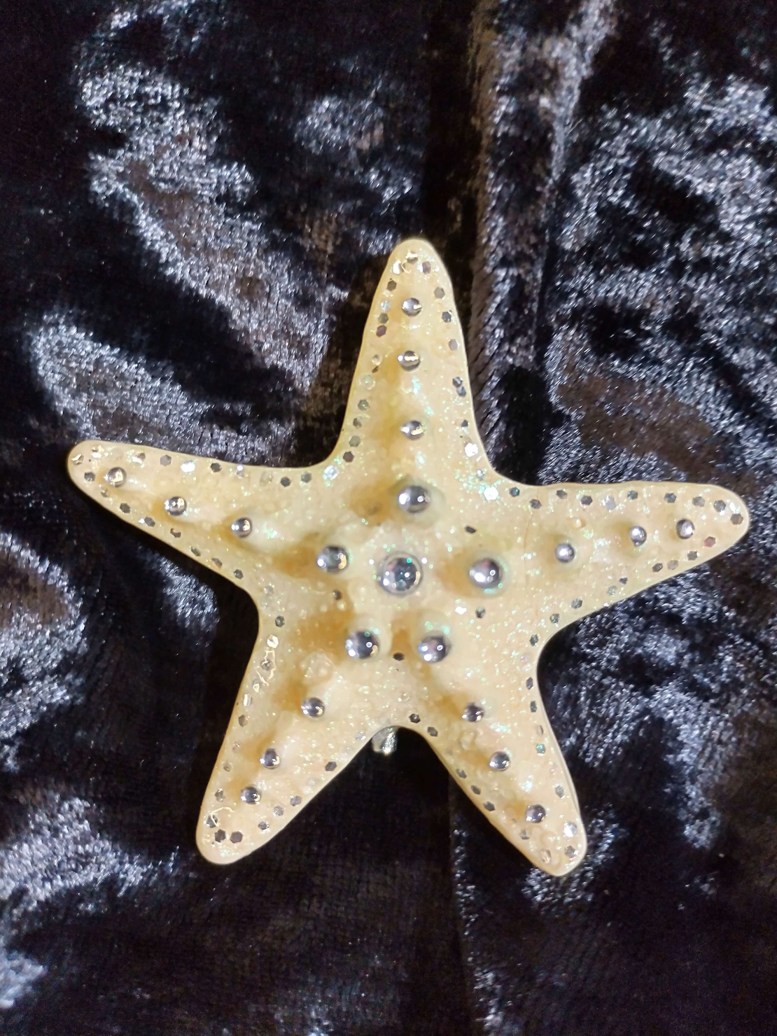 Бяла морска звезда