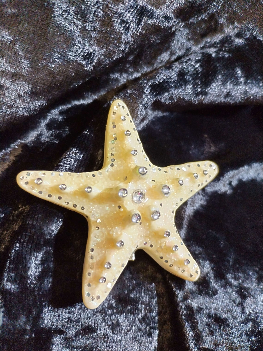 Бяла морска звезда