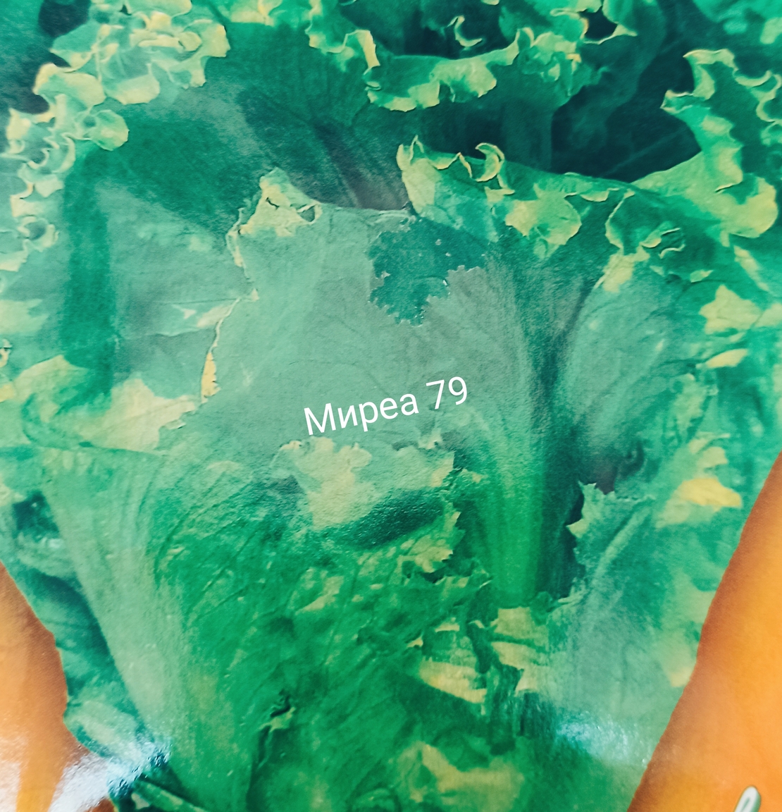 Маруля 