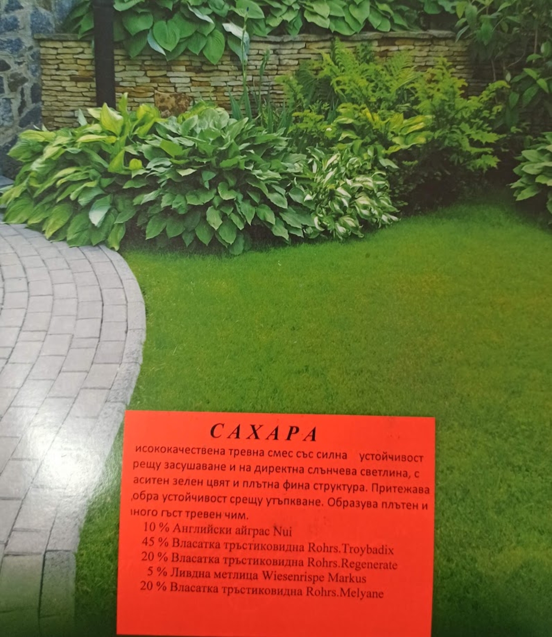Тревна смеска Сахара - 1 кг.