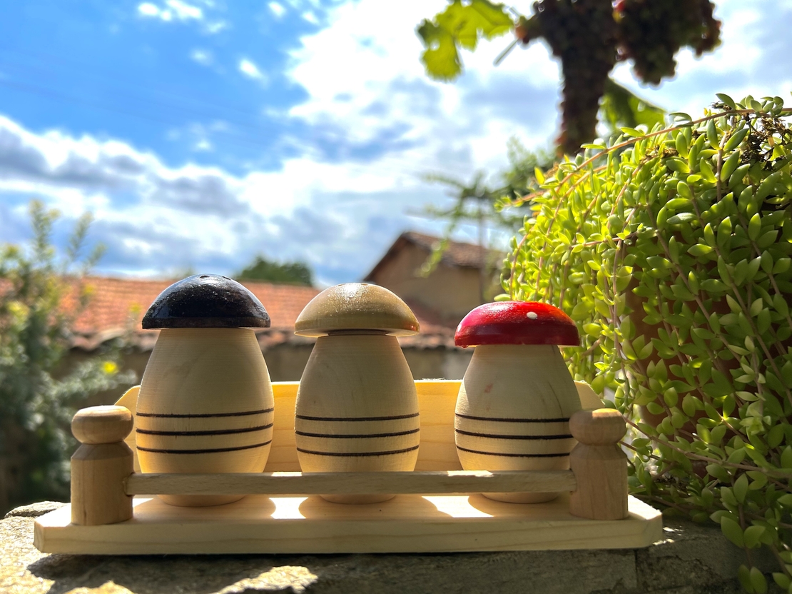 Солници Гъбки