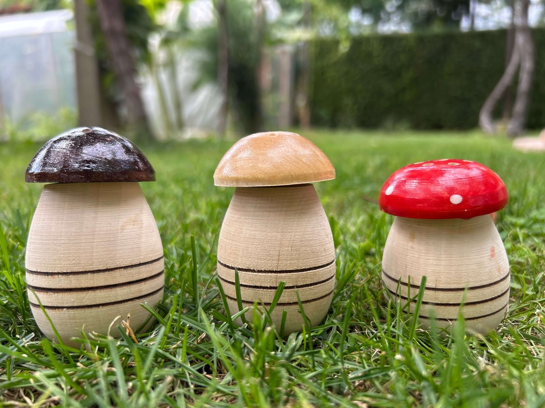 Солници Гъбки