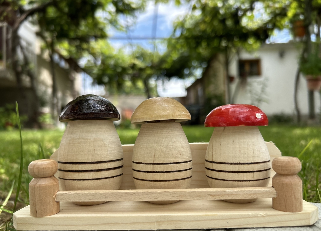 Солници Гъбки