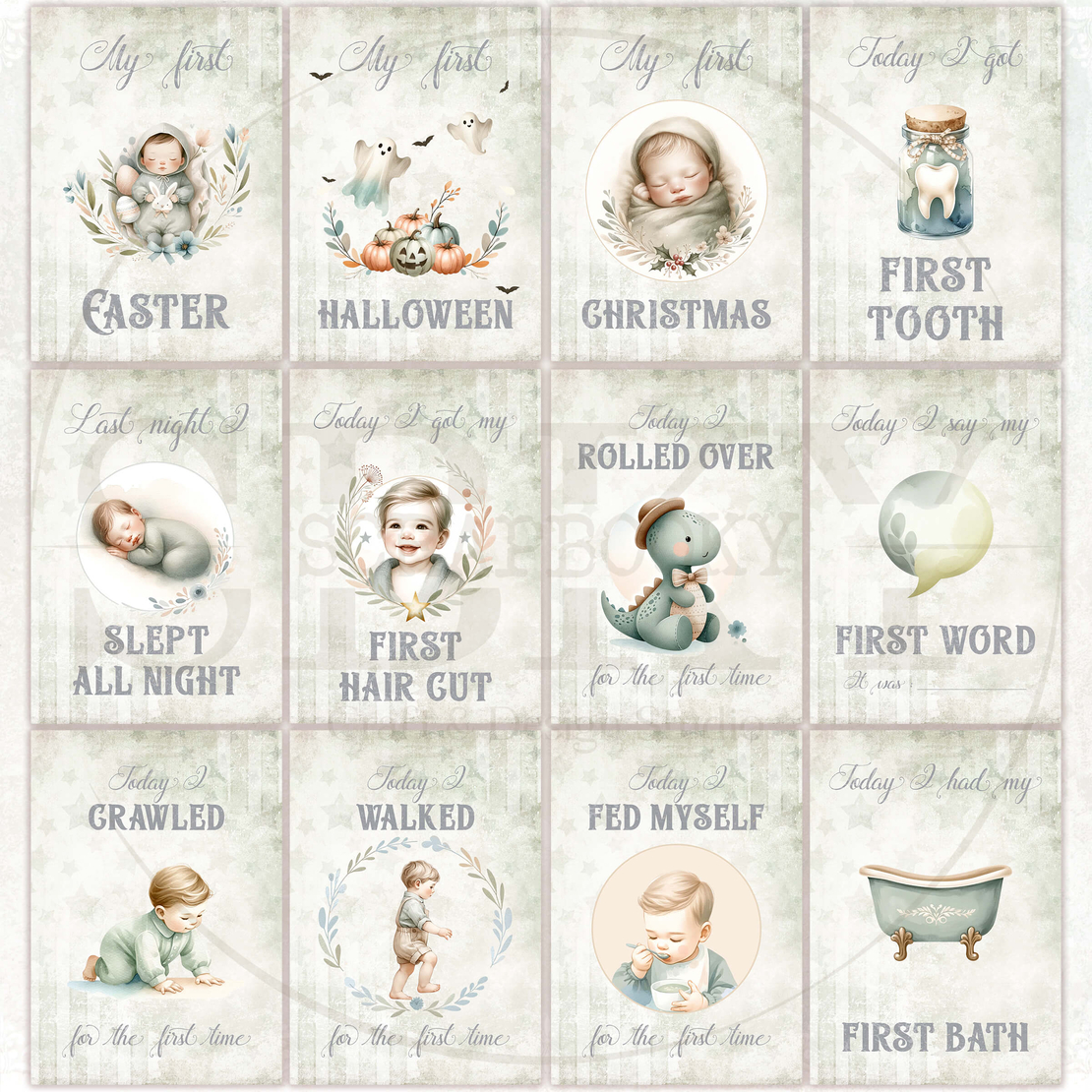 Baby Boy Milestone Cards - In English