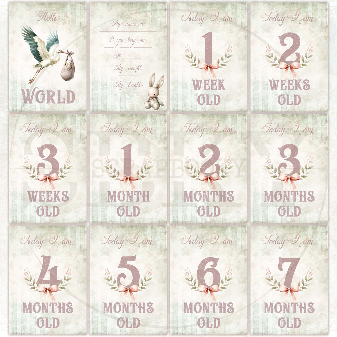 Baby Girl Milestone Cards - In English