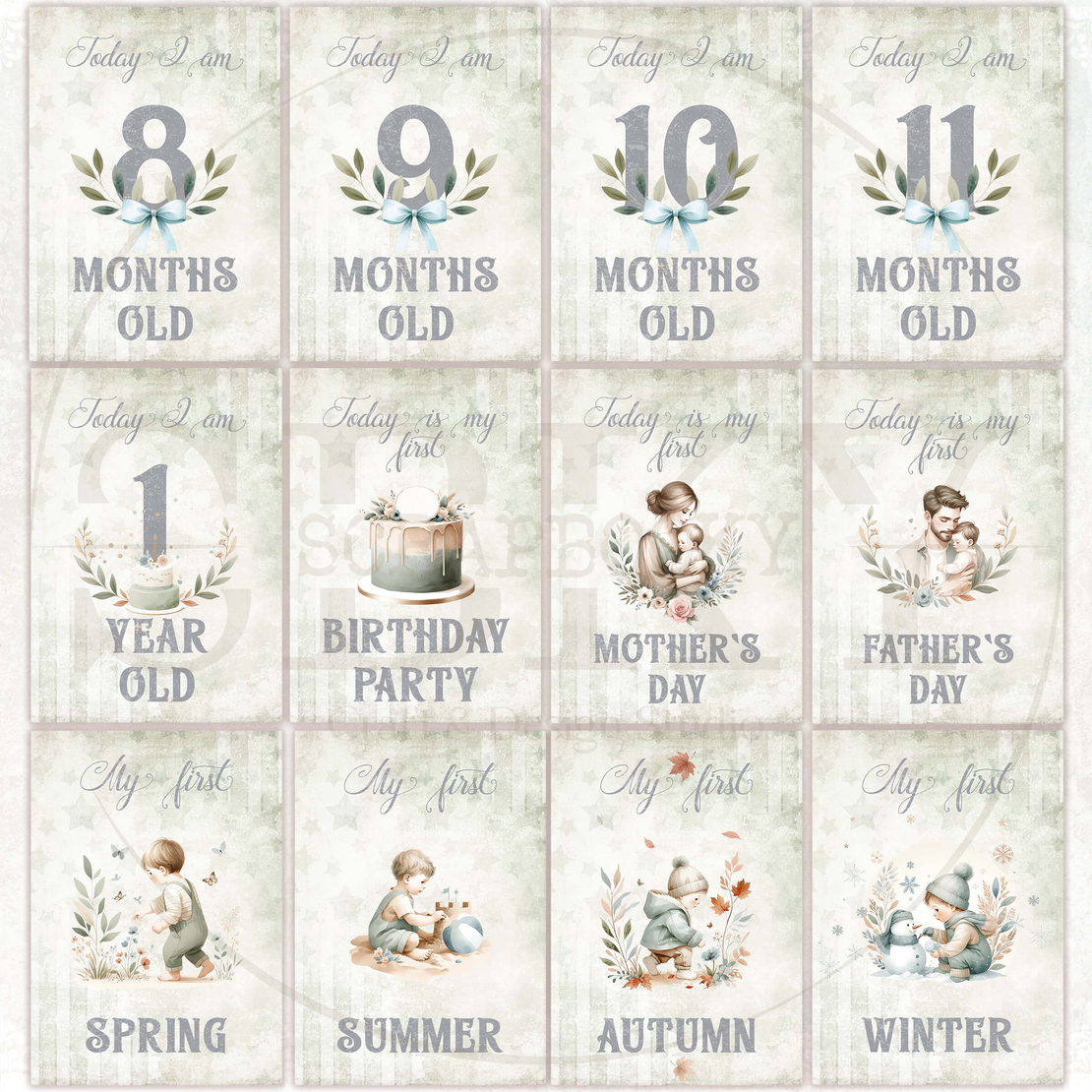 Baby Boy Milestone Cards - In English