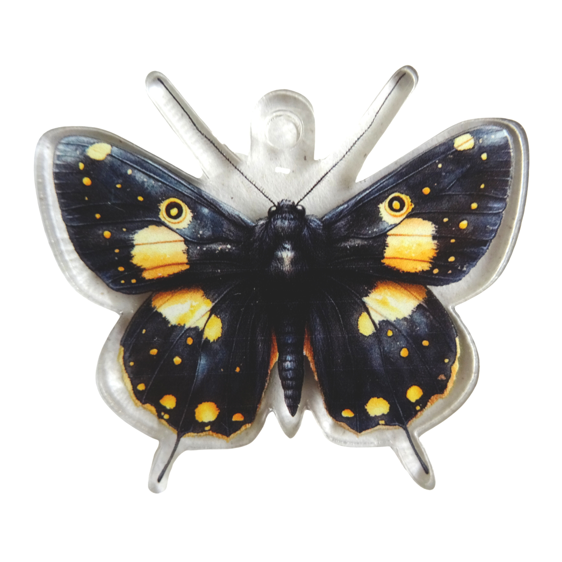 Acrylic ornament 