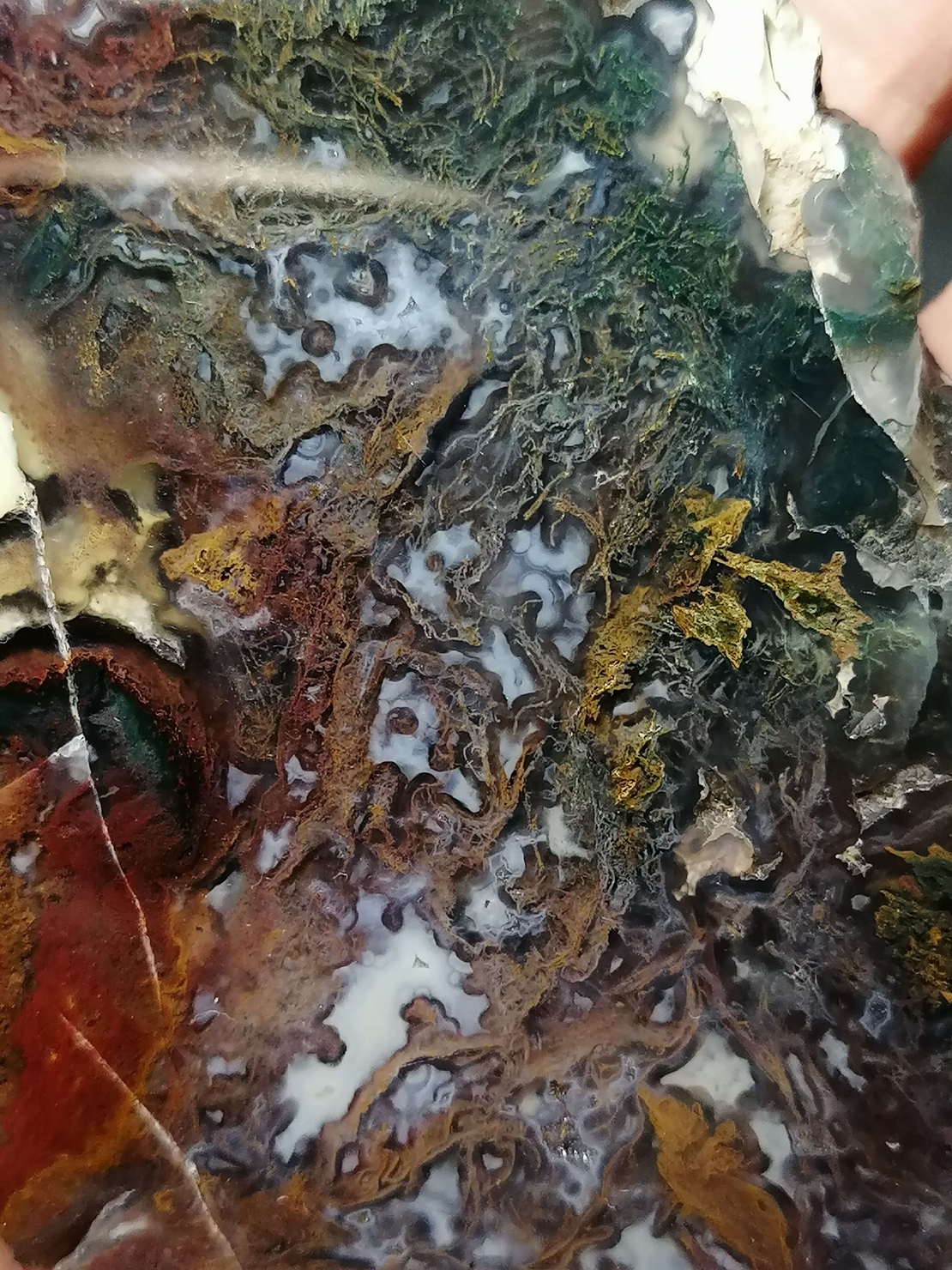 Български Мъхов Ахат