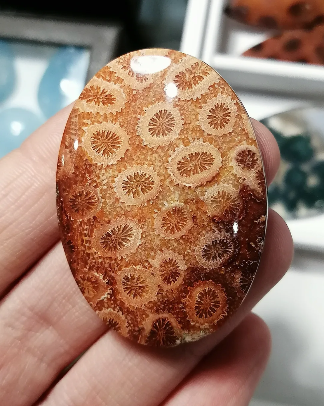 Кабошон Коралов Ахат