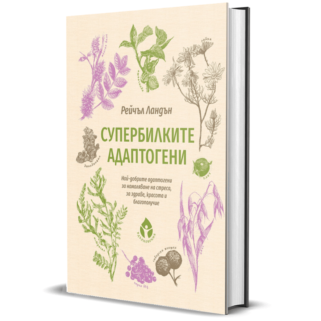 Супербилките АДАПТОГЕНИ