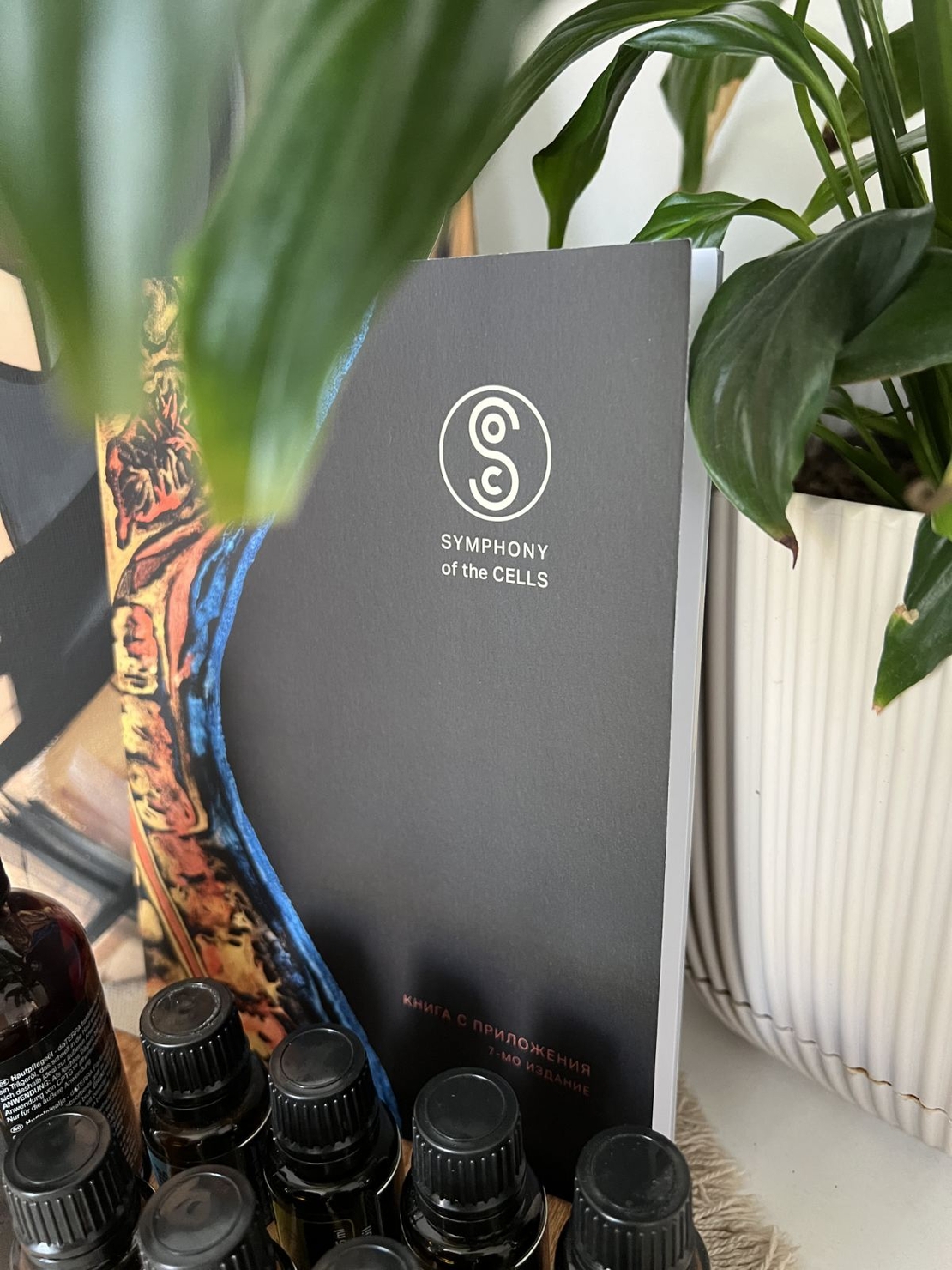 Комплект Симфония на клетката - книга с приложения и дървена поставка