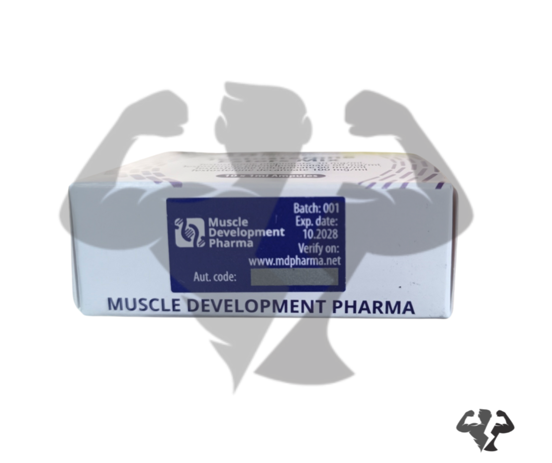 Muscle Development Pharma Сустанон ( Testosterone Esters Mix ) 10 ампули