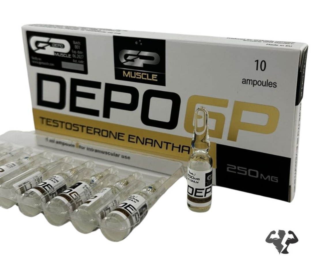 GP Muscle Depo - Testosterone Enanthate 10 amp 250 mg / ml