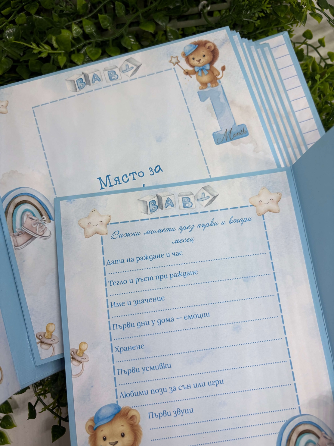 Албум-дневник „Сини лъвчета“ – персонализиран