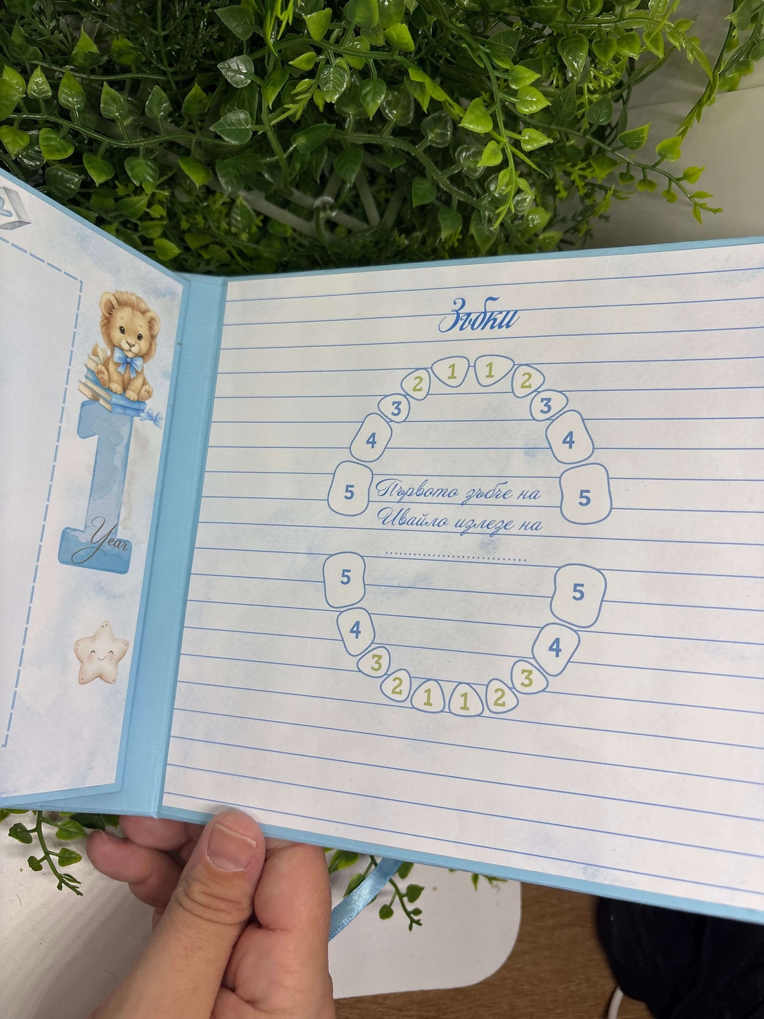 Албум-дневник с лъвчета в син цвят