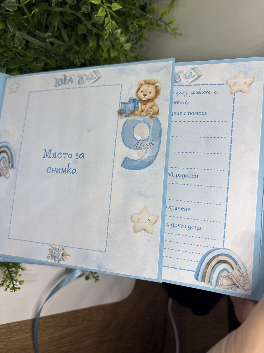 Албум-дневник с лъвчета в син цвят