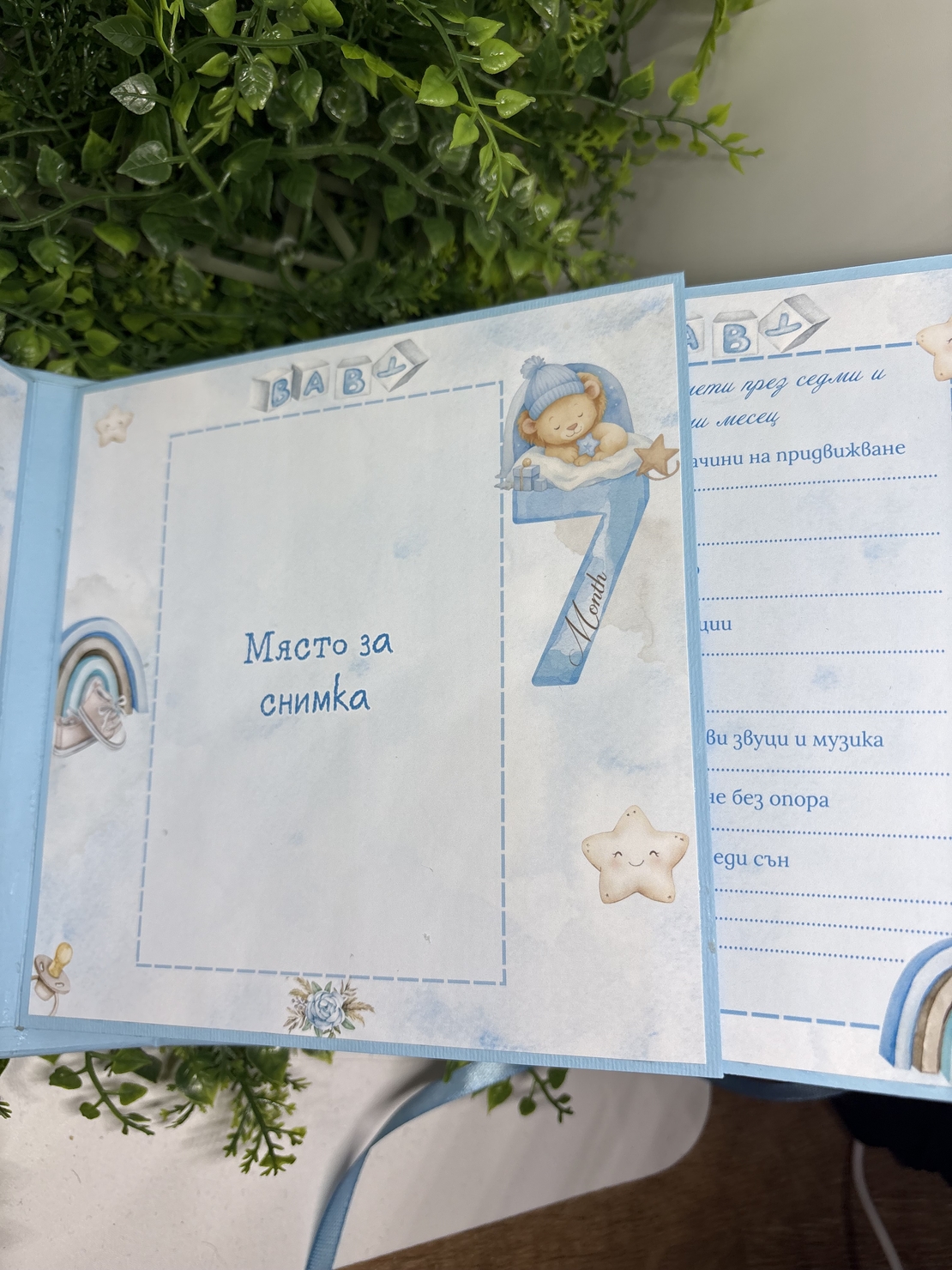 Албум-дневник с лъвчета в син цвят